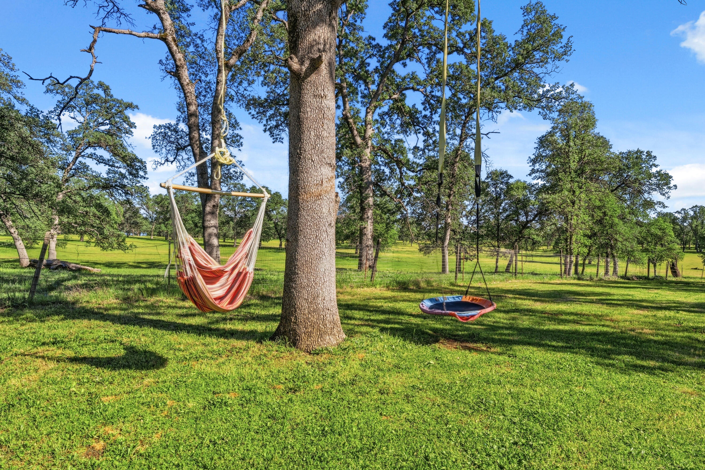 11385 Easy Street Redding, CA 96003 - Photo 49 of 55 a view of a park with large trees