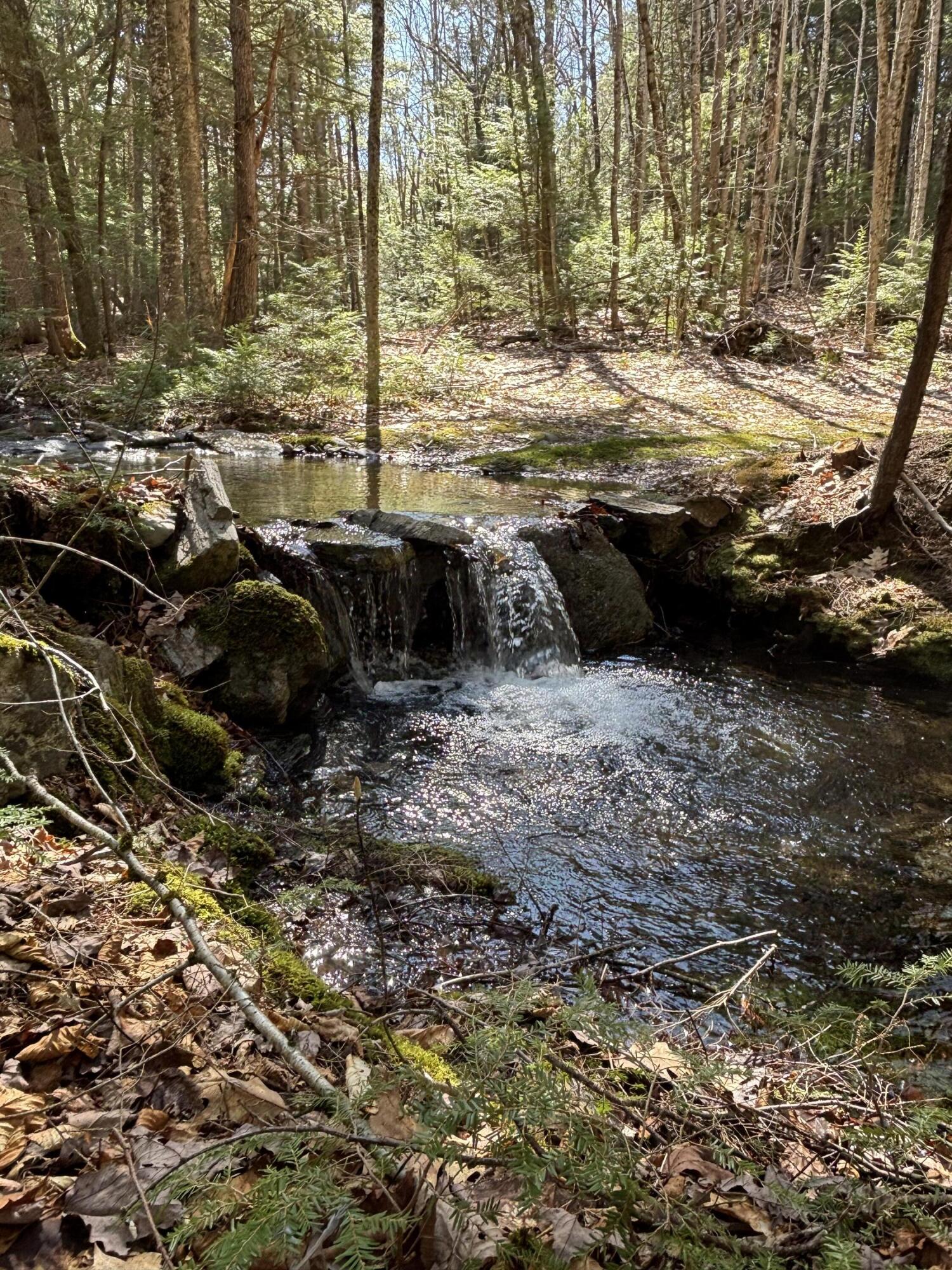 0 Brown Road Liberty, ME 04949 - Photo 7 of 8 IMG_3705