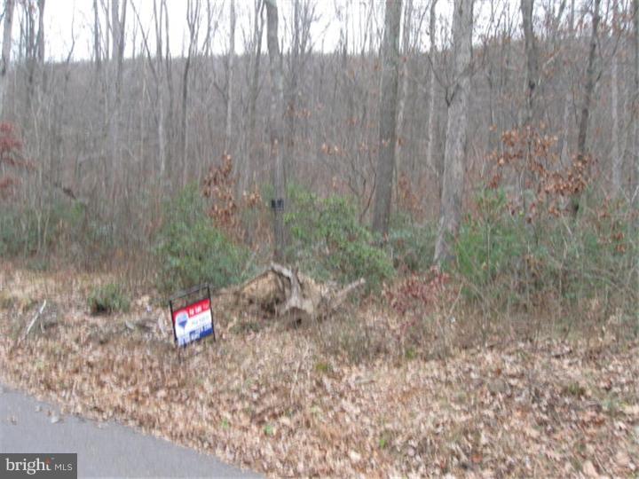 0 North Side Of Back Road Barnesville, PA 18214 - Photo 1 of 2 Gallery Image 1