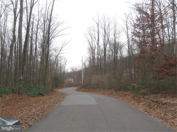 0 North Side Of Back Road Barnesville, PA 18214 - Photo 2 of 2 Gallery Image 2
