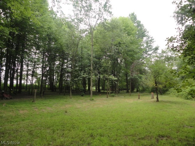 Heisler Road North Benton, OH 44449 - Photo 12 of 14 Gallery Image 12