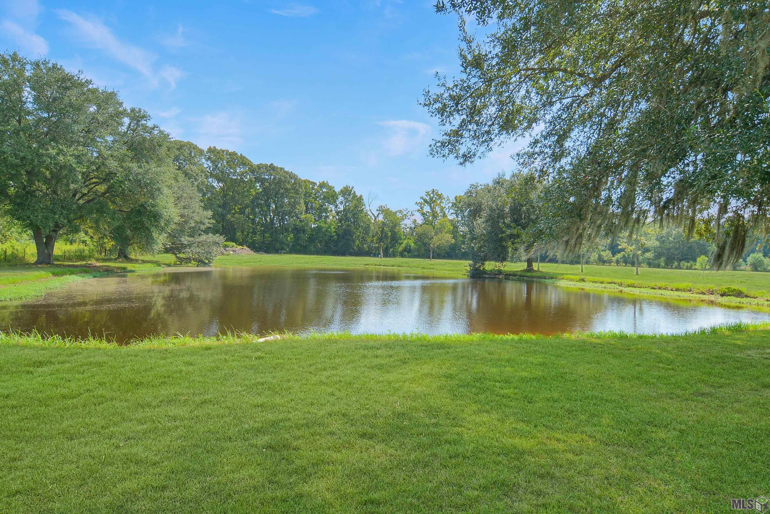 22460 Sutter Lane Zachary, LA 70791 - Photo 24 of 26 Pond