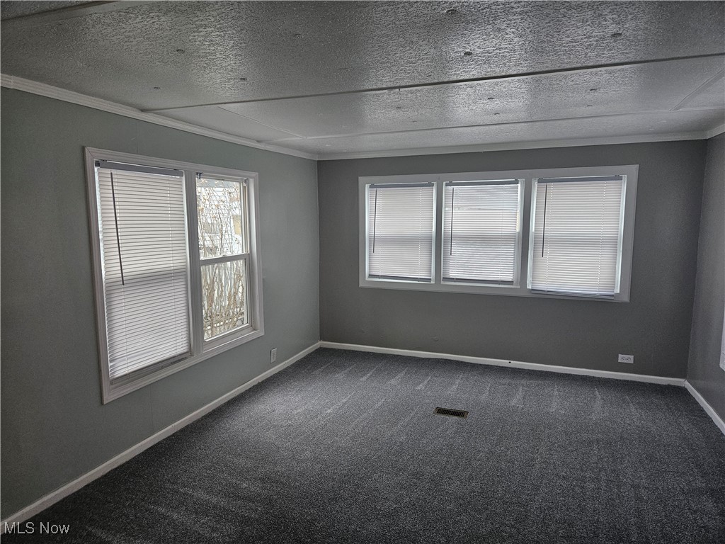 2305 East Waterloo Road Akron, OH 44312 - Photo 8 of 12 Spare room with crown molding, a textured ceiling, dark carpet, and healthy amount of natural light