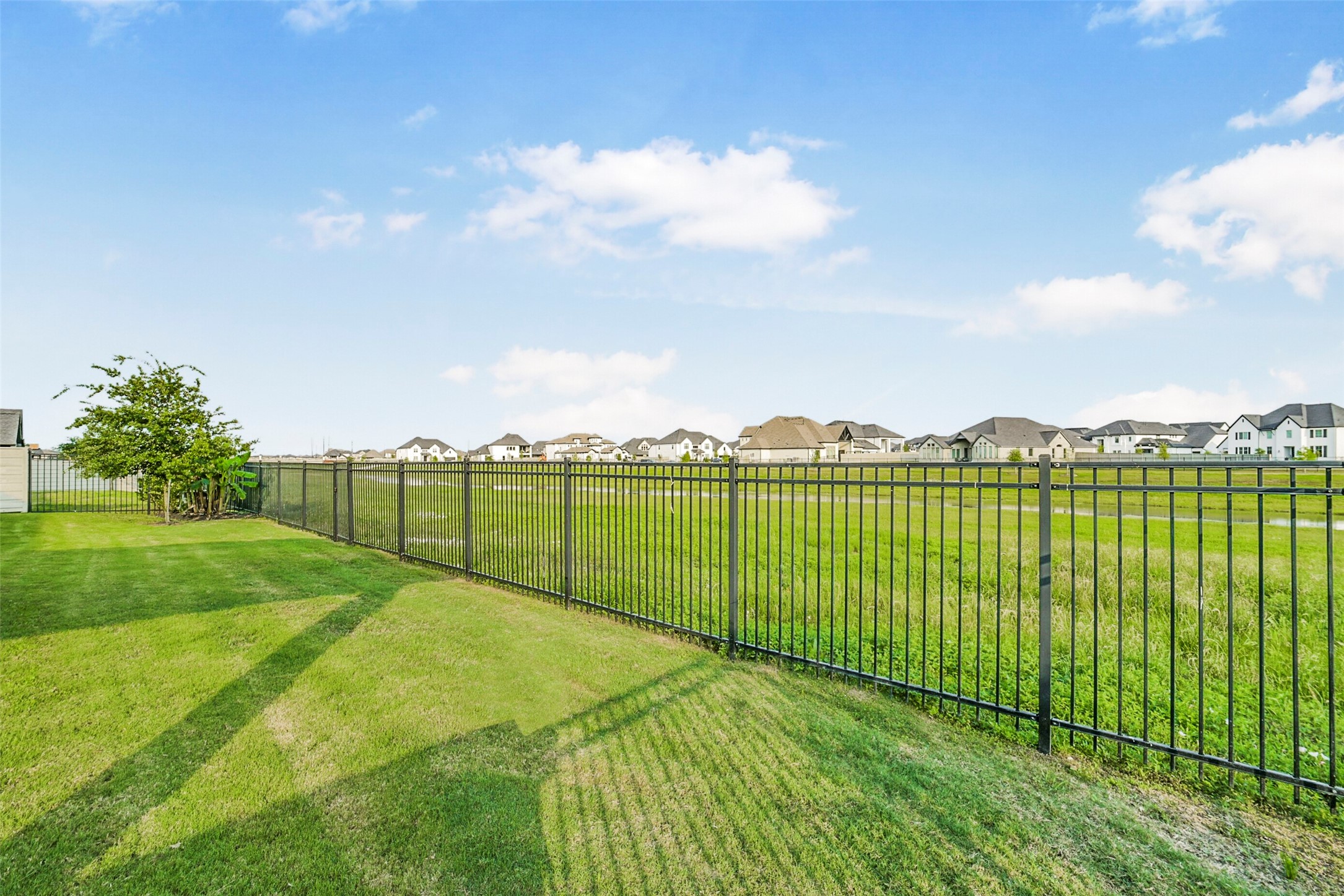 2018 Grove Terrace Lane Manvel, TX 77578 - Photo 48 of 50 Spacious backyard with a well-maintained lawn, bordered by a black metal fence. No back neighbors. The view extends to an open green space and neighboring houses, offering a sense of community and openness.