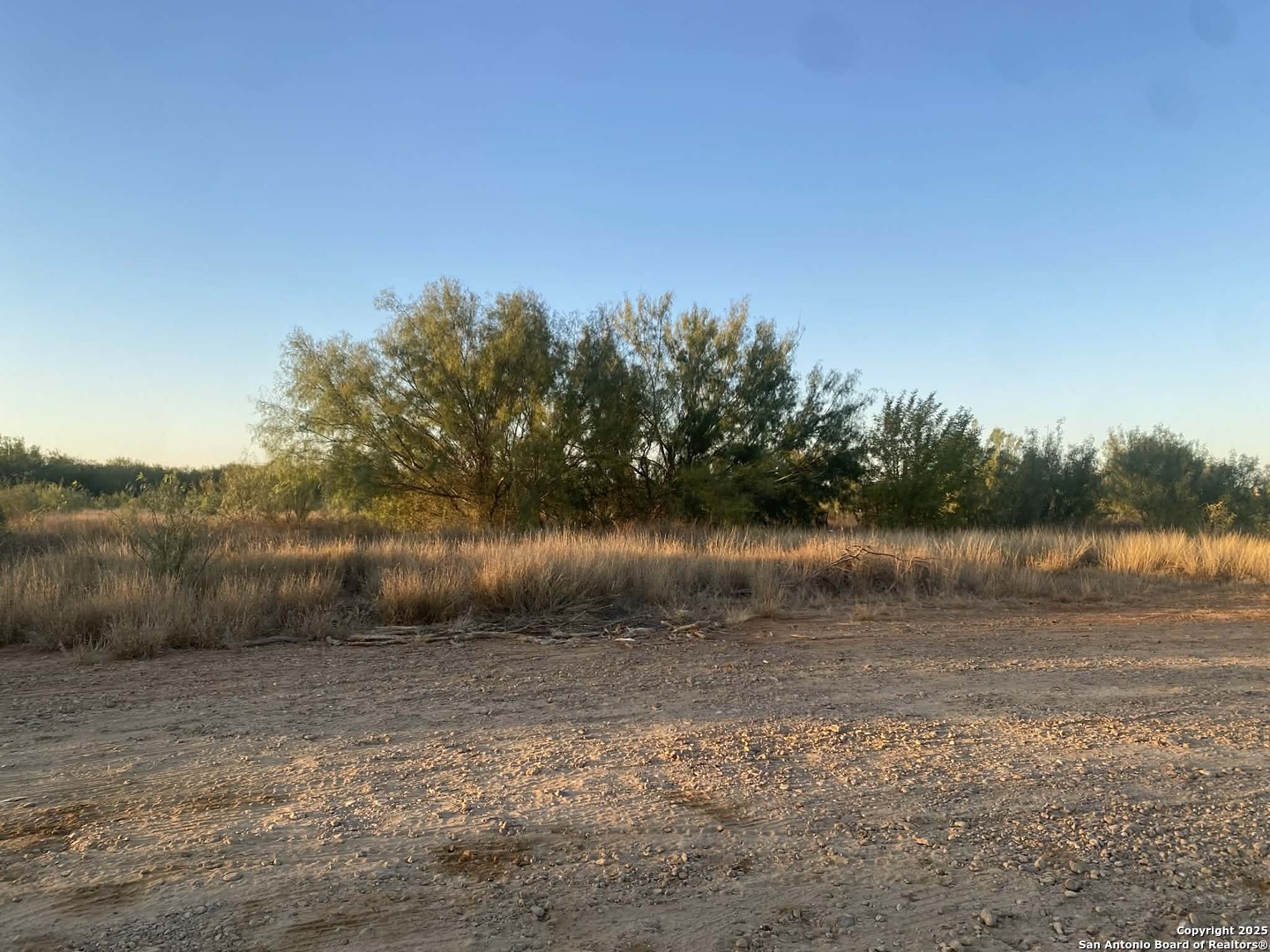 117 West Fm Dilley, TX 78017 - Photo 3 of 8 a view of a lake view
