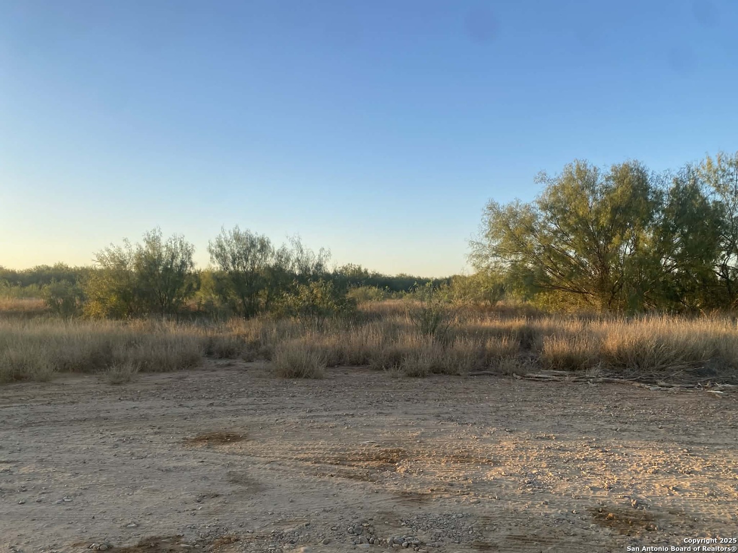 117 West Fm Dilley, TX 78017 - Photo 4 of 8 a view of a lake view