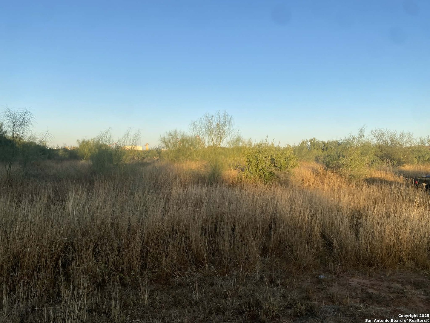 117 West Fm Dilley, TX 78017 - Photo 5 of 8 a view of lake with green space