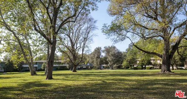a big yard with lots of trees