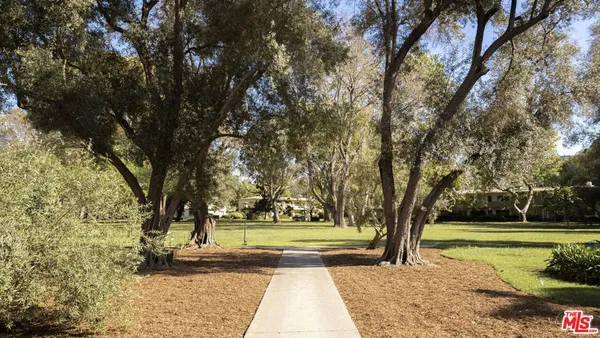 a view of a yard with large trees