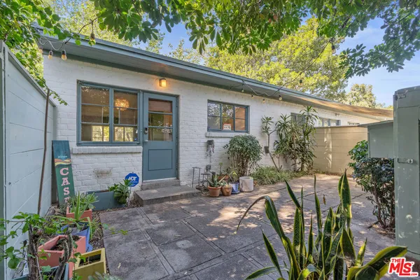 a view of a backyard with chairs potted plants and a large tree