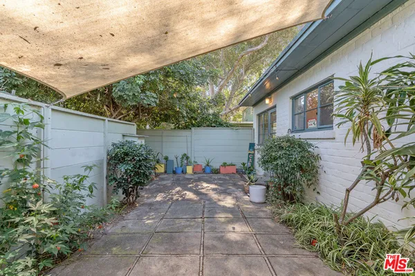 a couple of flower plants in front of house