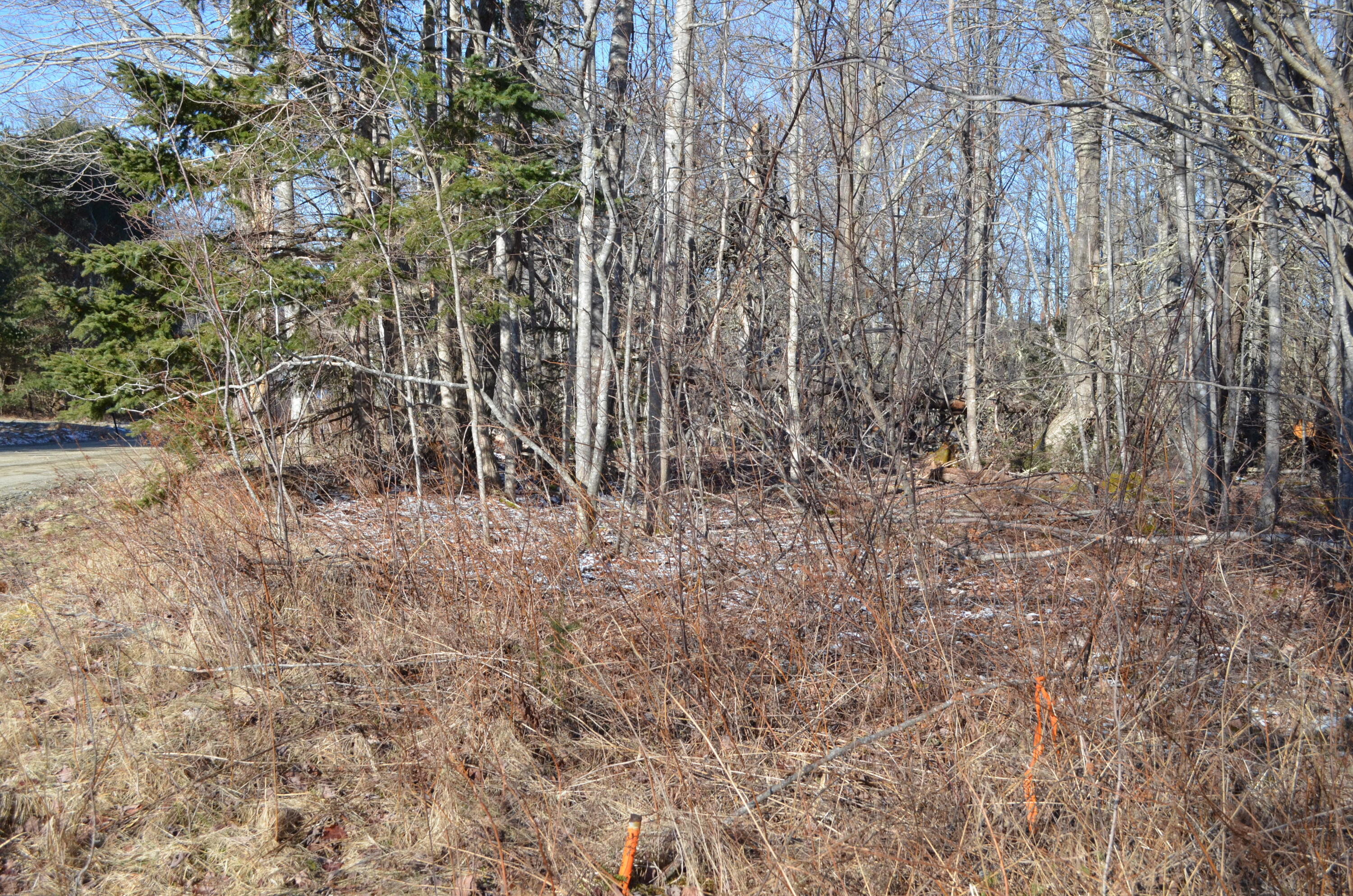 Lot 22 Spindle Road Ellsworth, ME 04605 - Photo 18 of 34 DSC_0024