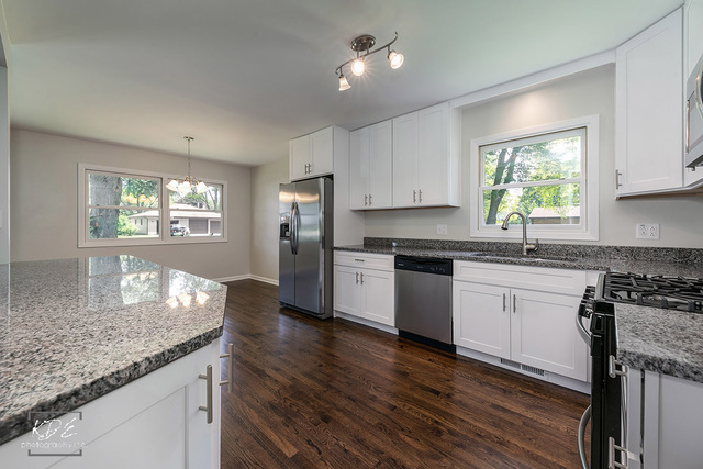 6124 Puffer Road Downers Grove, IL 60516 - Photo 6 of 26