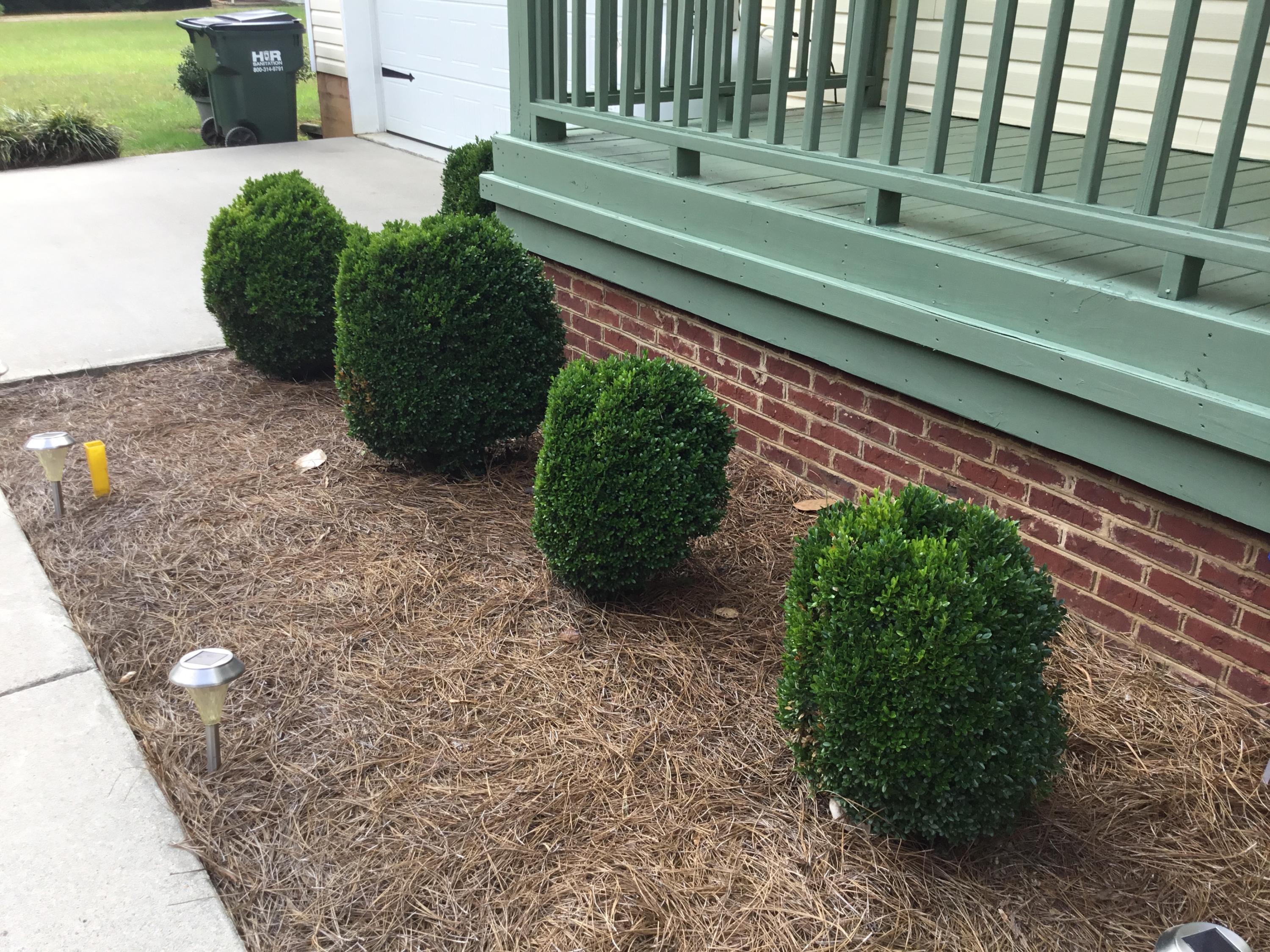 895 McCarter Road LaFayette, GA 30728 - Photo 32 of 38 landscaping
