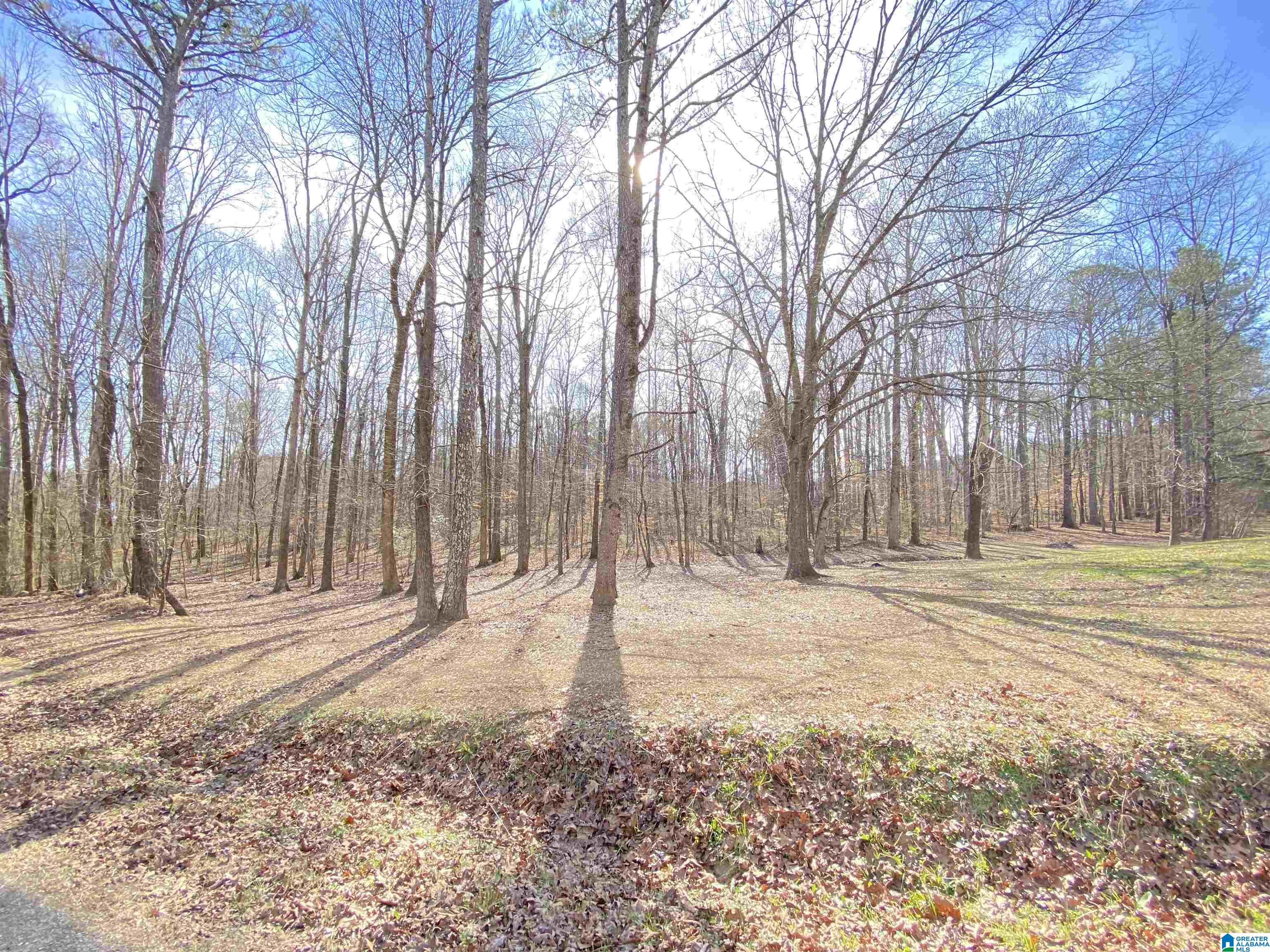 62 Curt Jarret Road Ashville, AL 35953 - Photo 26 of 77