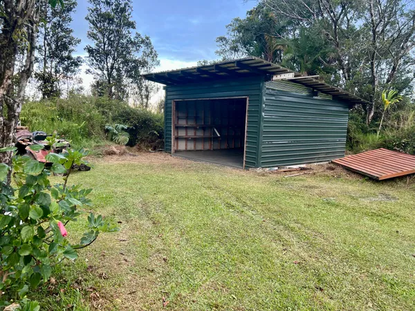 a view of a house with a small yard and a large tree