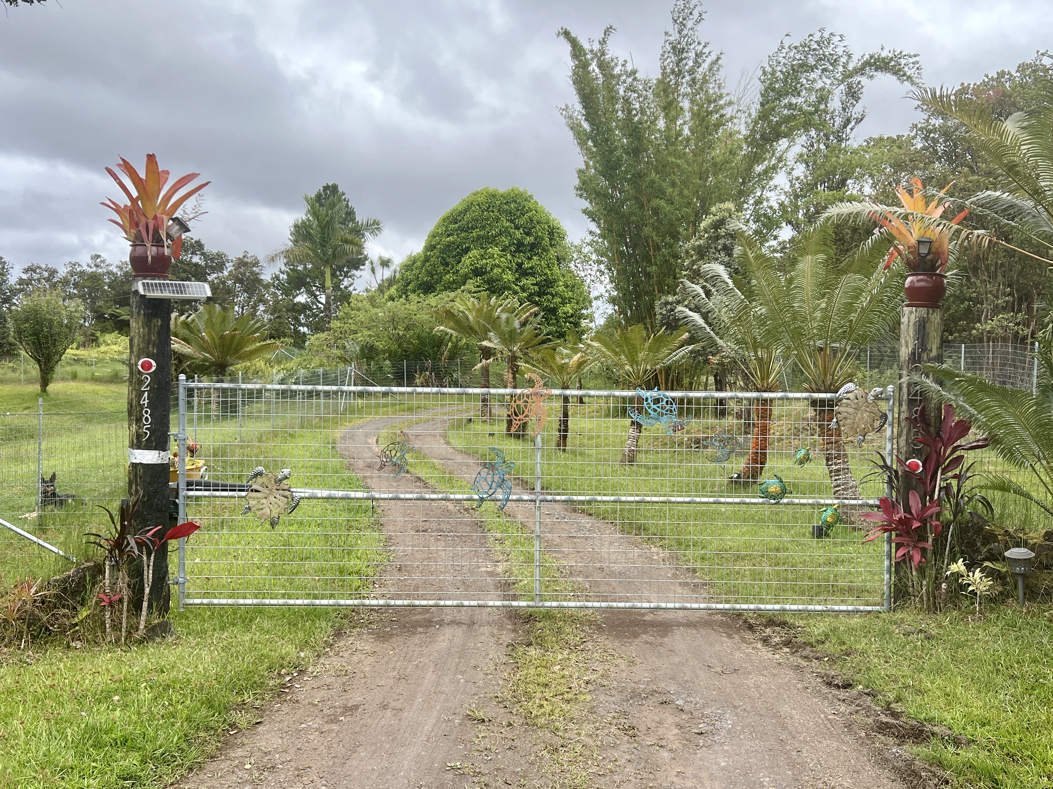 11-2485 Omeka Road Mountain View, HI 96771 - Photo 23 of 30