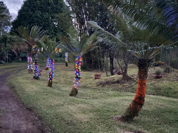 a view of outdoor space with trees