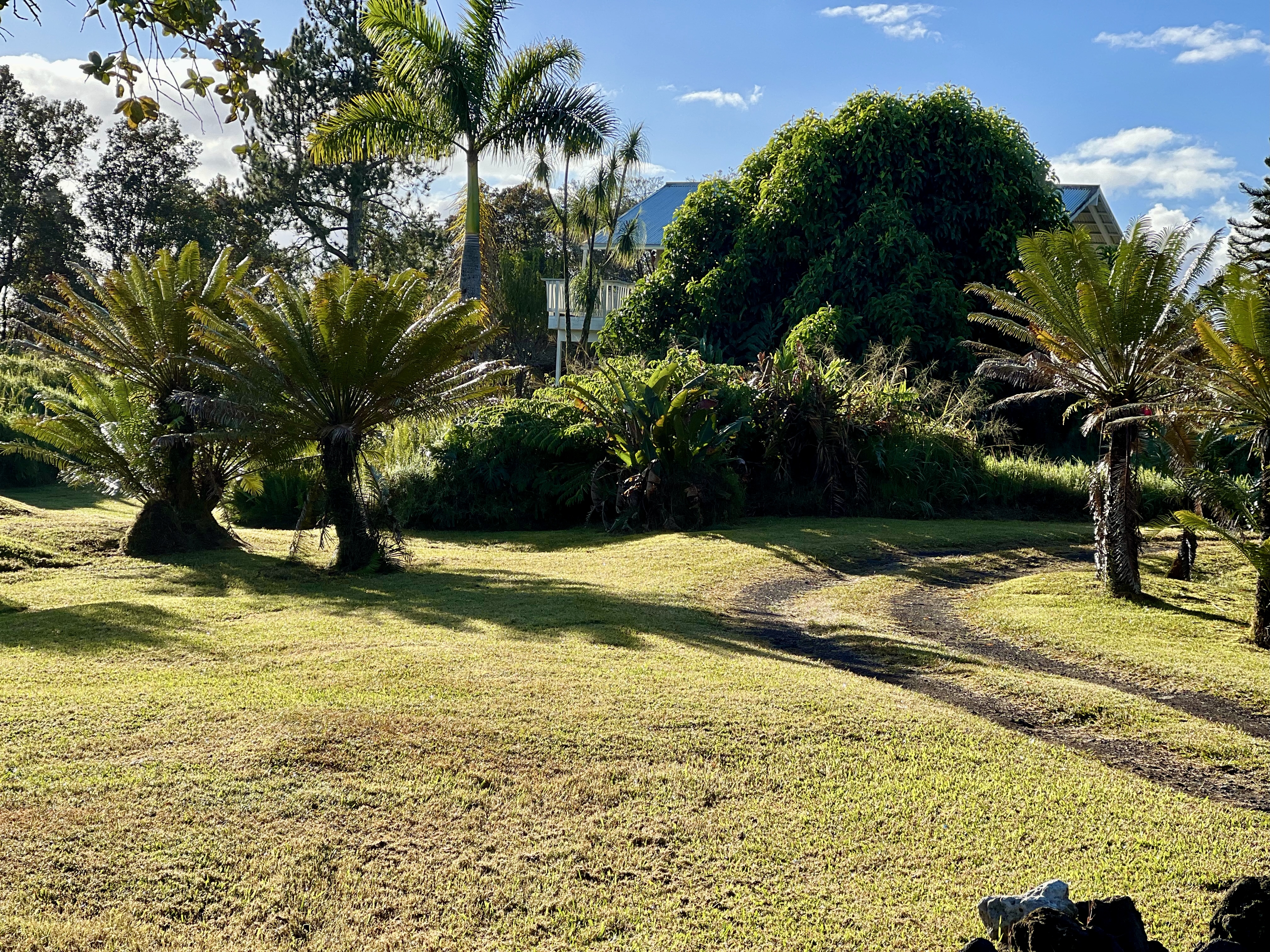 11-2485 Omeka Road Mountain View, HI 96771 - Photo 26 of 30 a view of a yard with a house