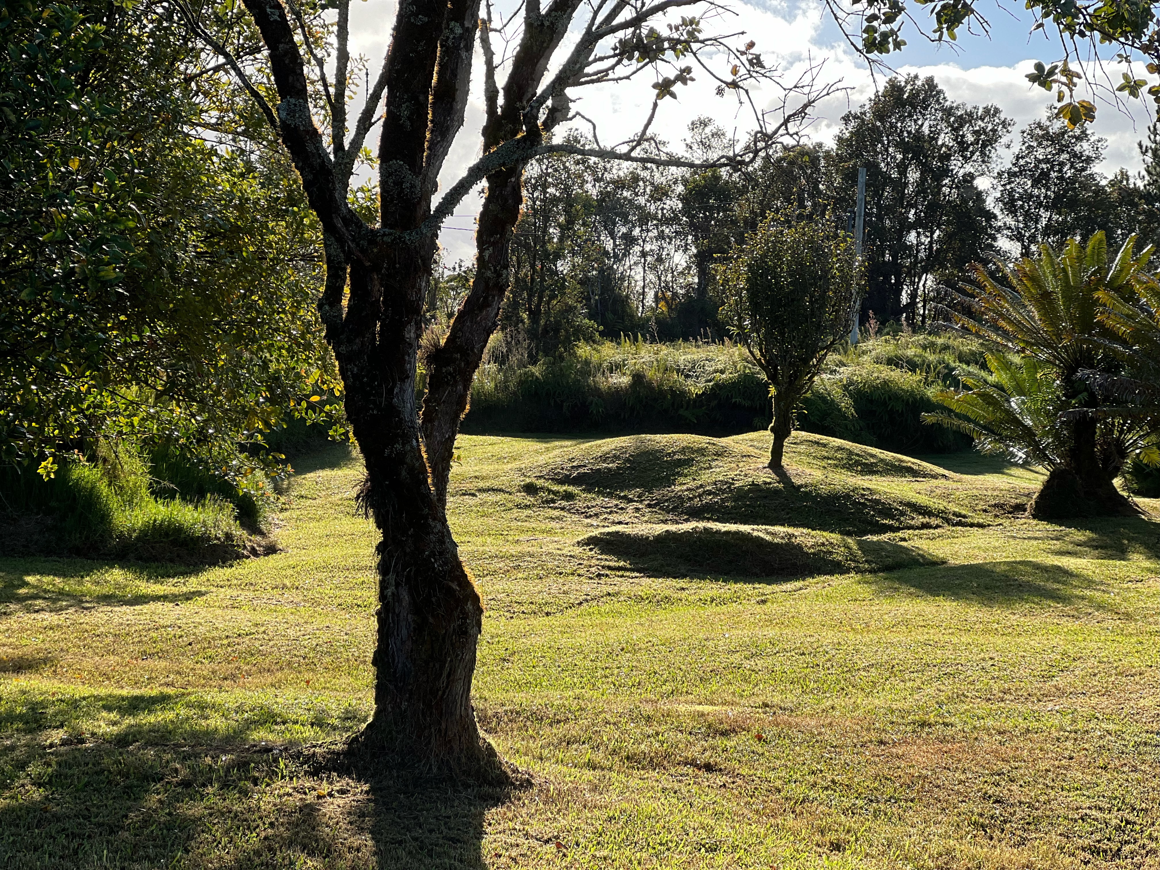 11-2485 Omeka Road Mountain View, HI 96771 - Photo 27 of 30 a view of swimming pool with a yard