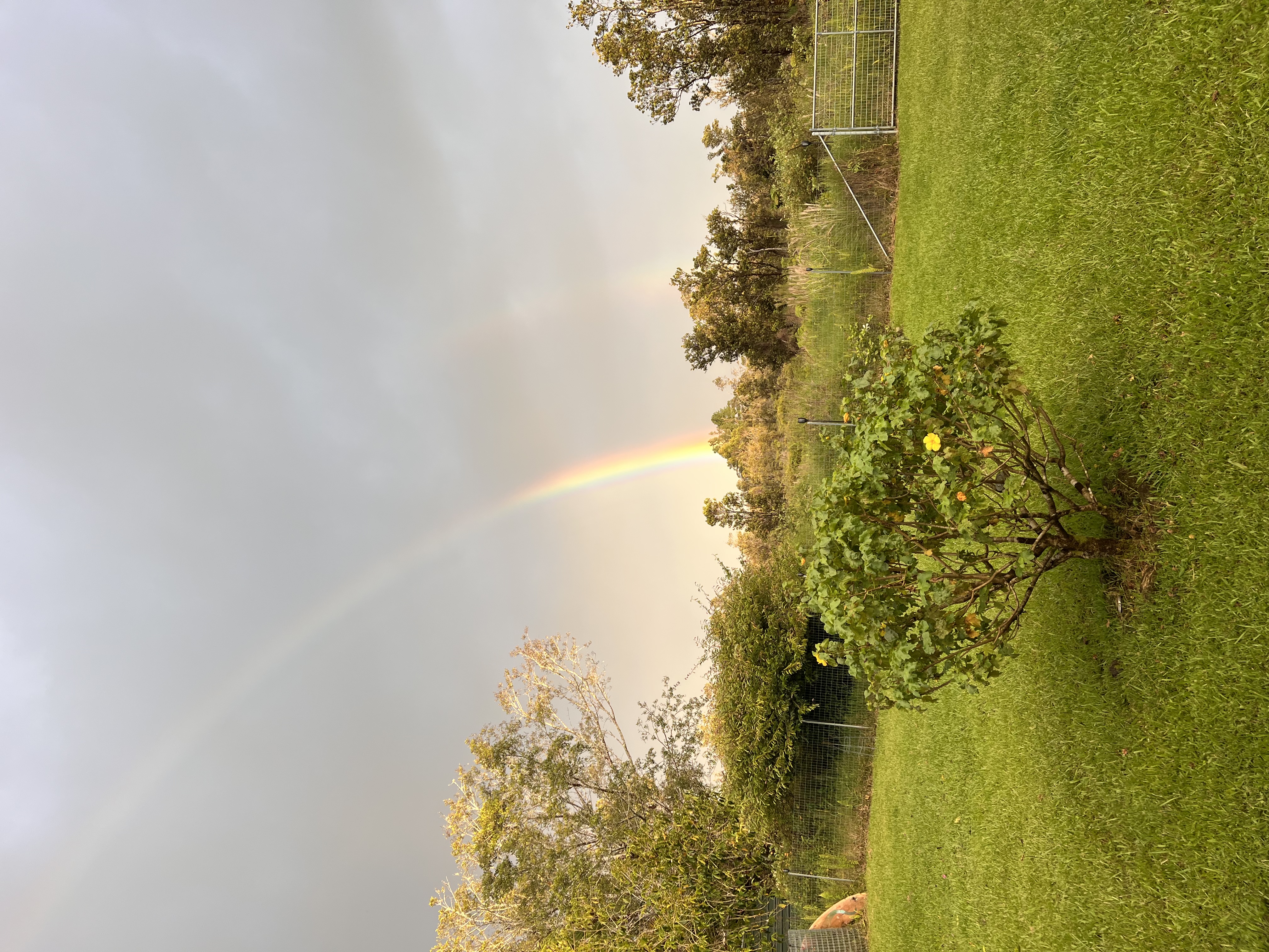 11-2485 Omeka Road Mountain View, HI 96771 - Photo 27 of 30