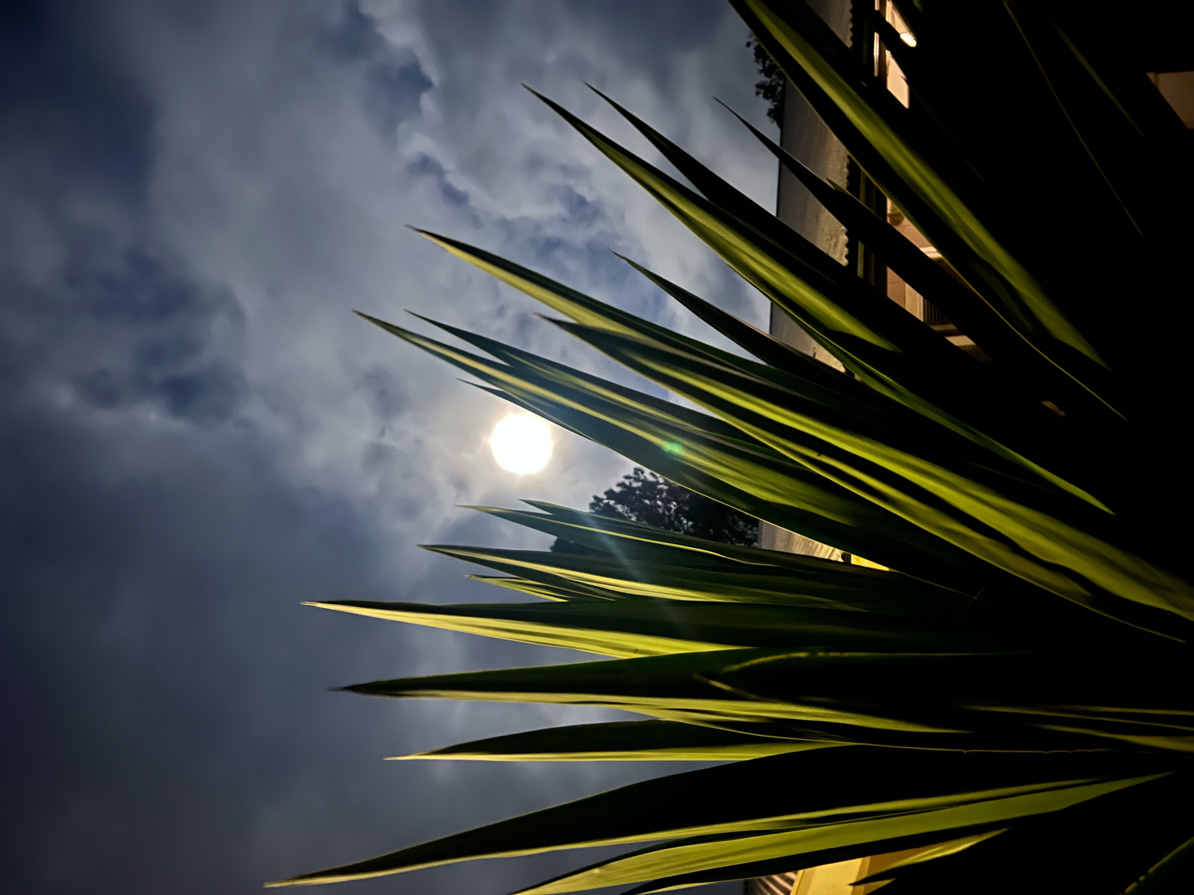 11-2485 Omeka Road Mountain View, HI 96771 - Photo 28 of 30