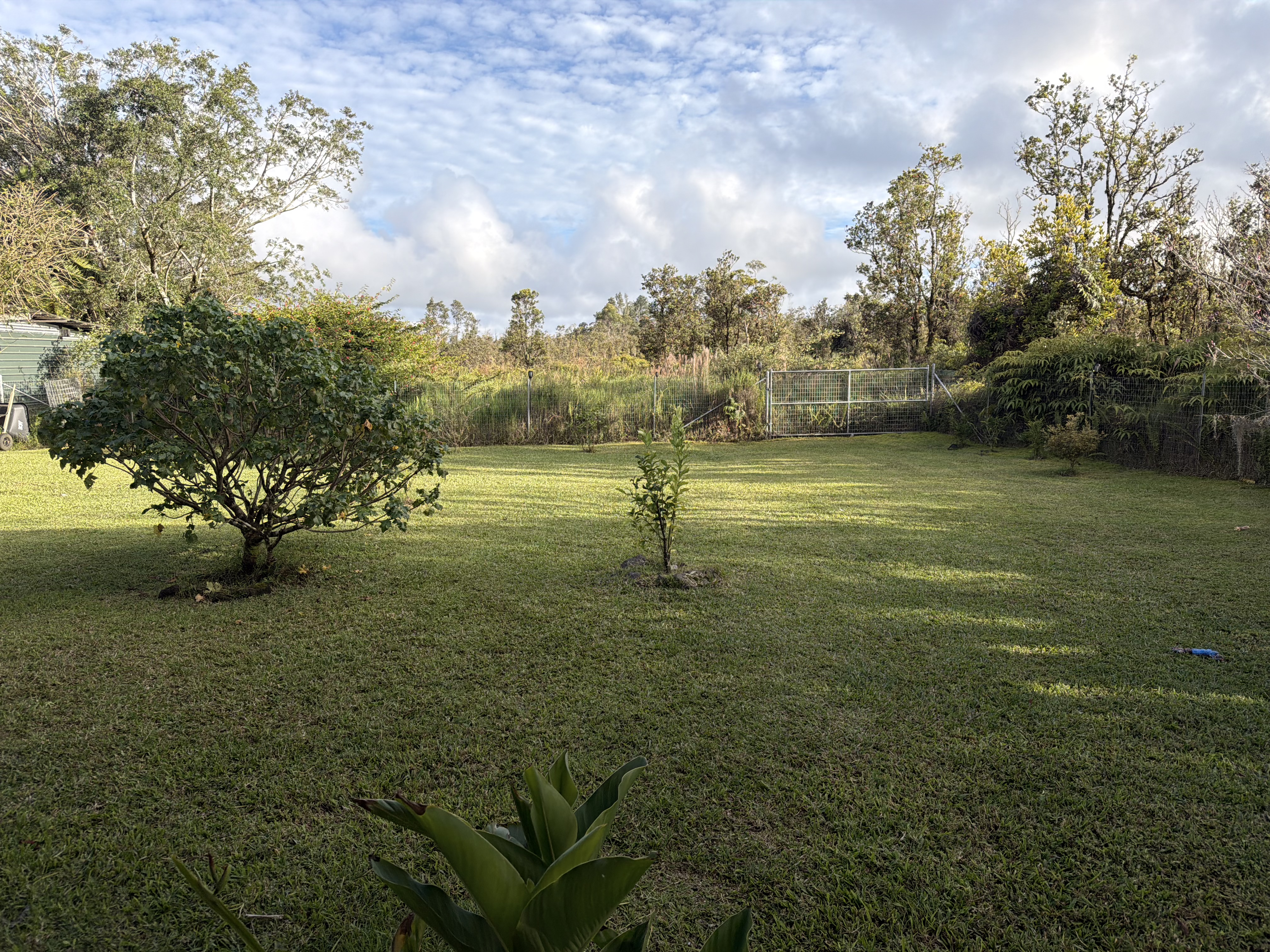 11-2485 Omeka Road Mountain View, HI 96771 - Photo 28 of 30 a view of an ocean