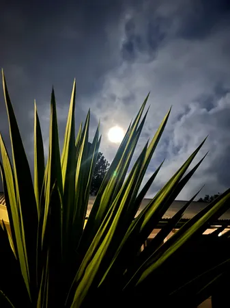 a view of a refrigerator