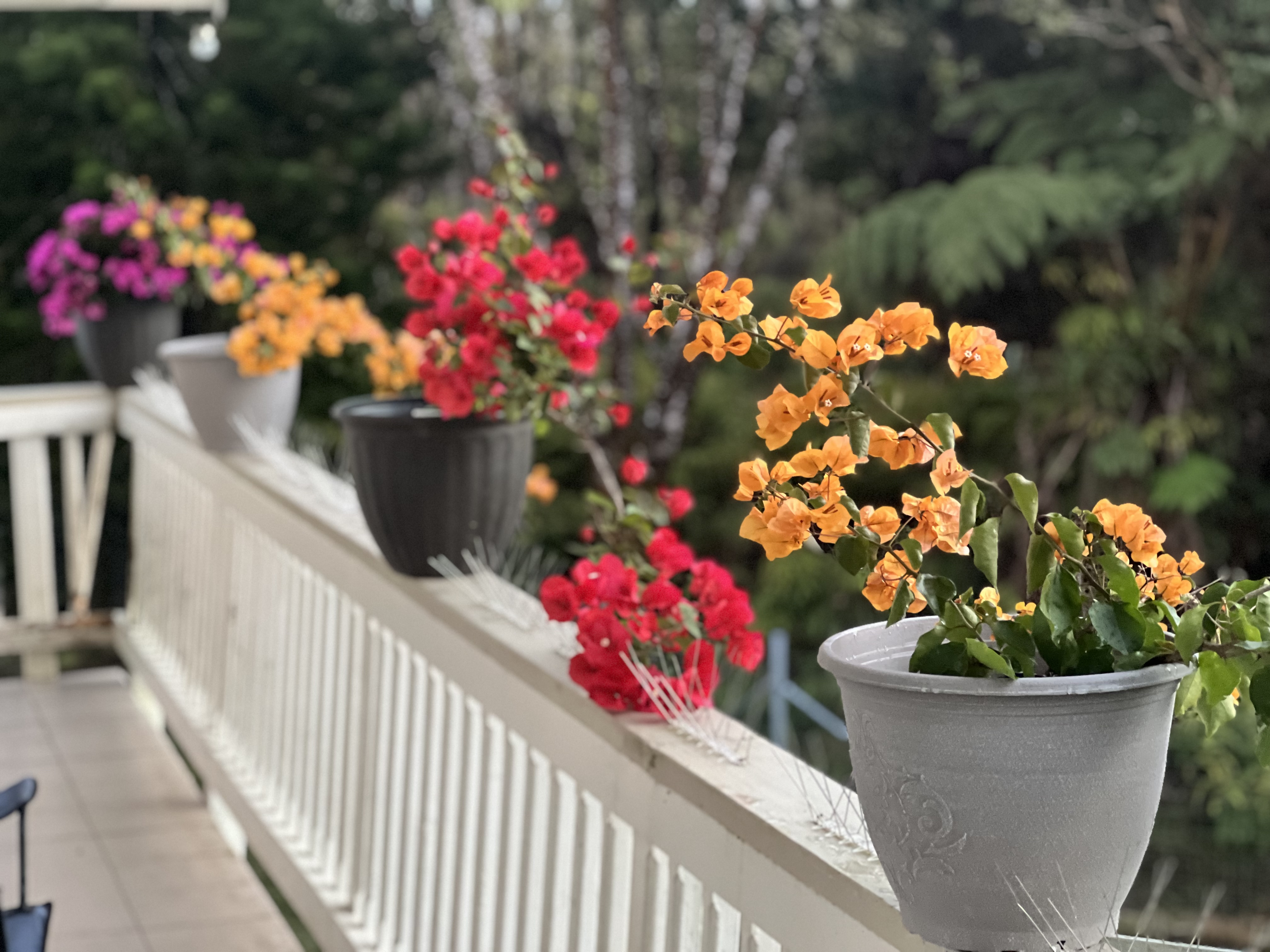 11-2485 Omeka Road Mountain View, HI 96771 - Photo 7 of 30