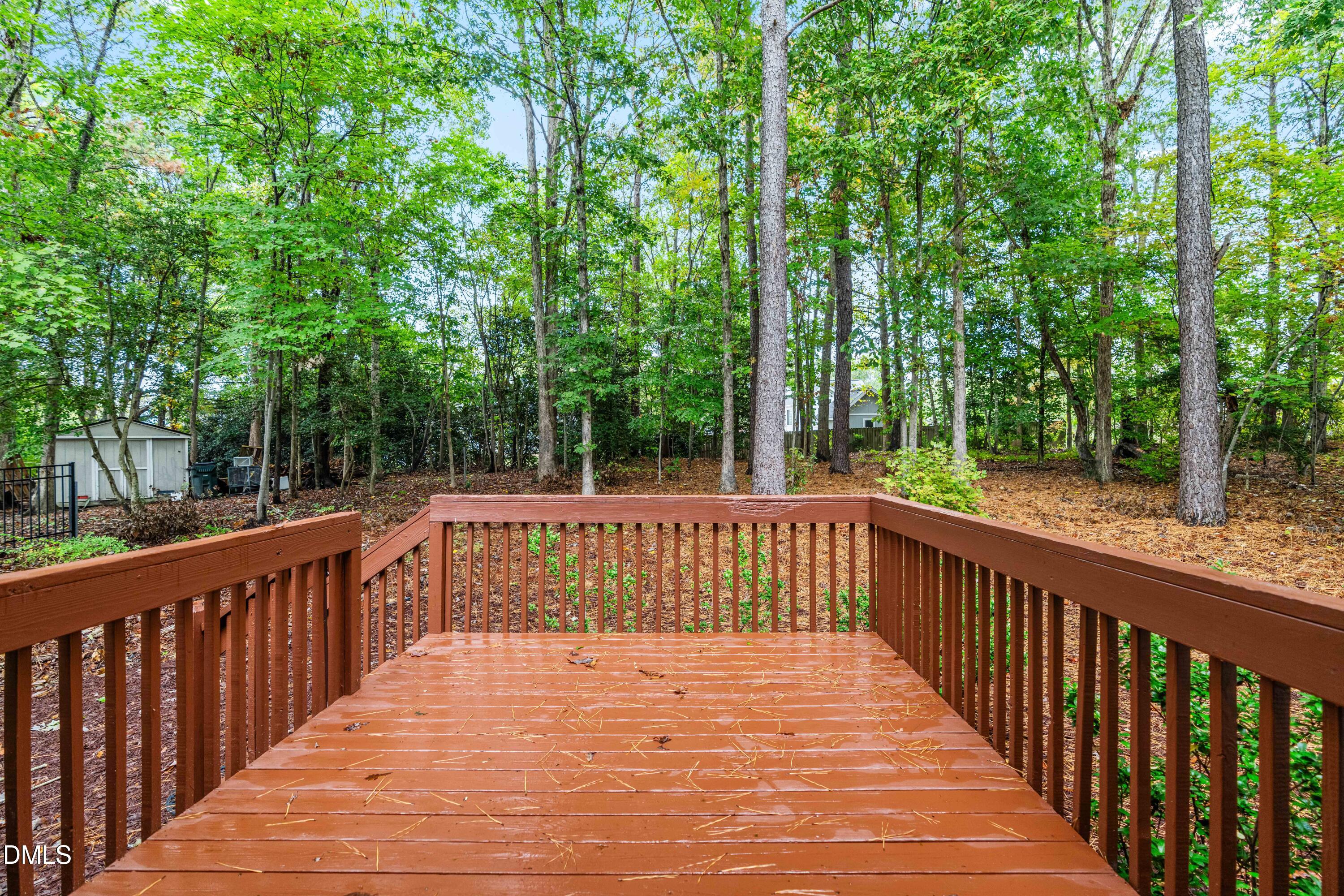 3420 Ribcowski Court Raleigh, NC 27616 - Photo 24 of 29 Deck