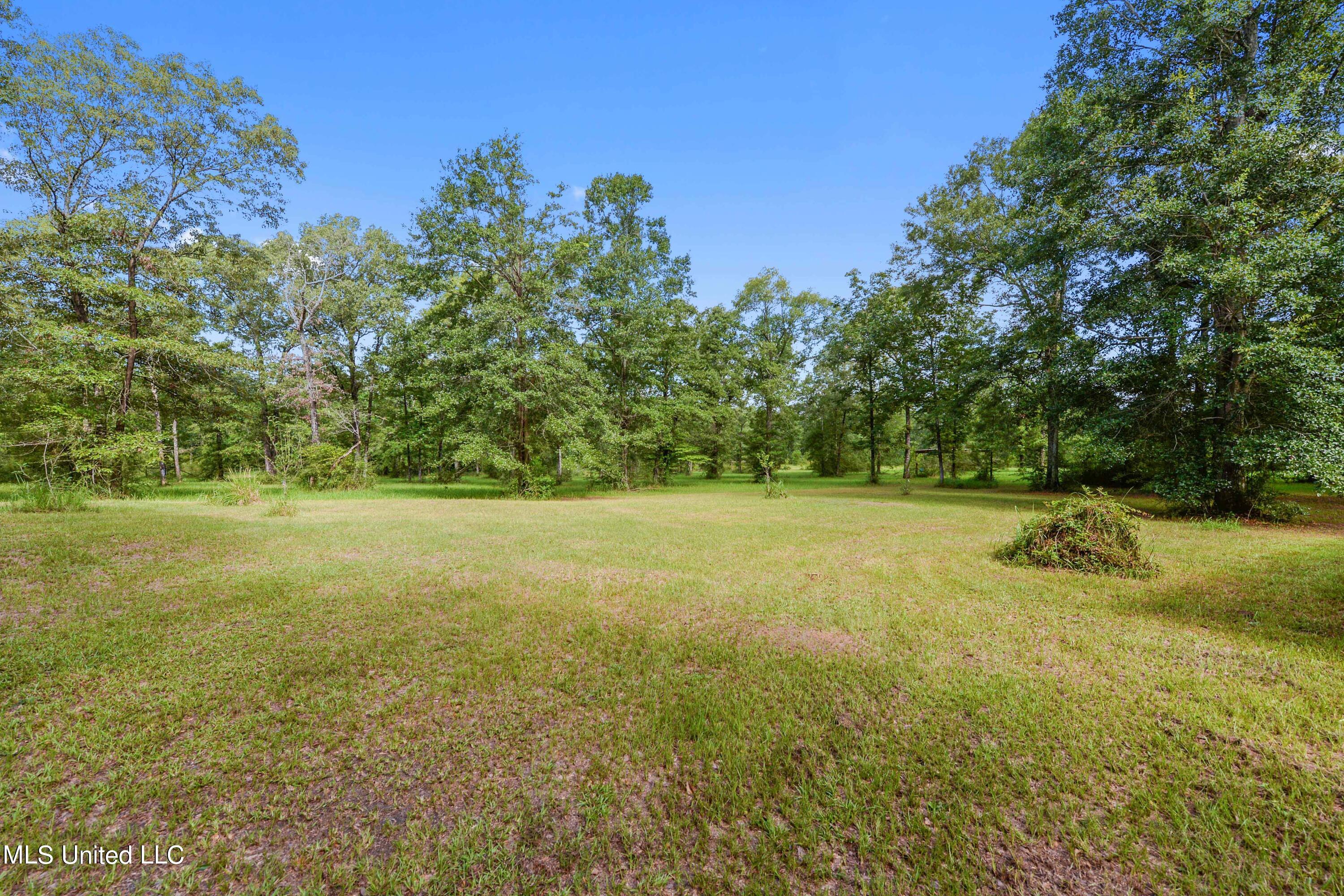 176 Long Leaf Road Lucedale, MS 39452 - Photo 18 of 27 018