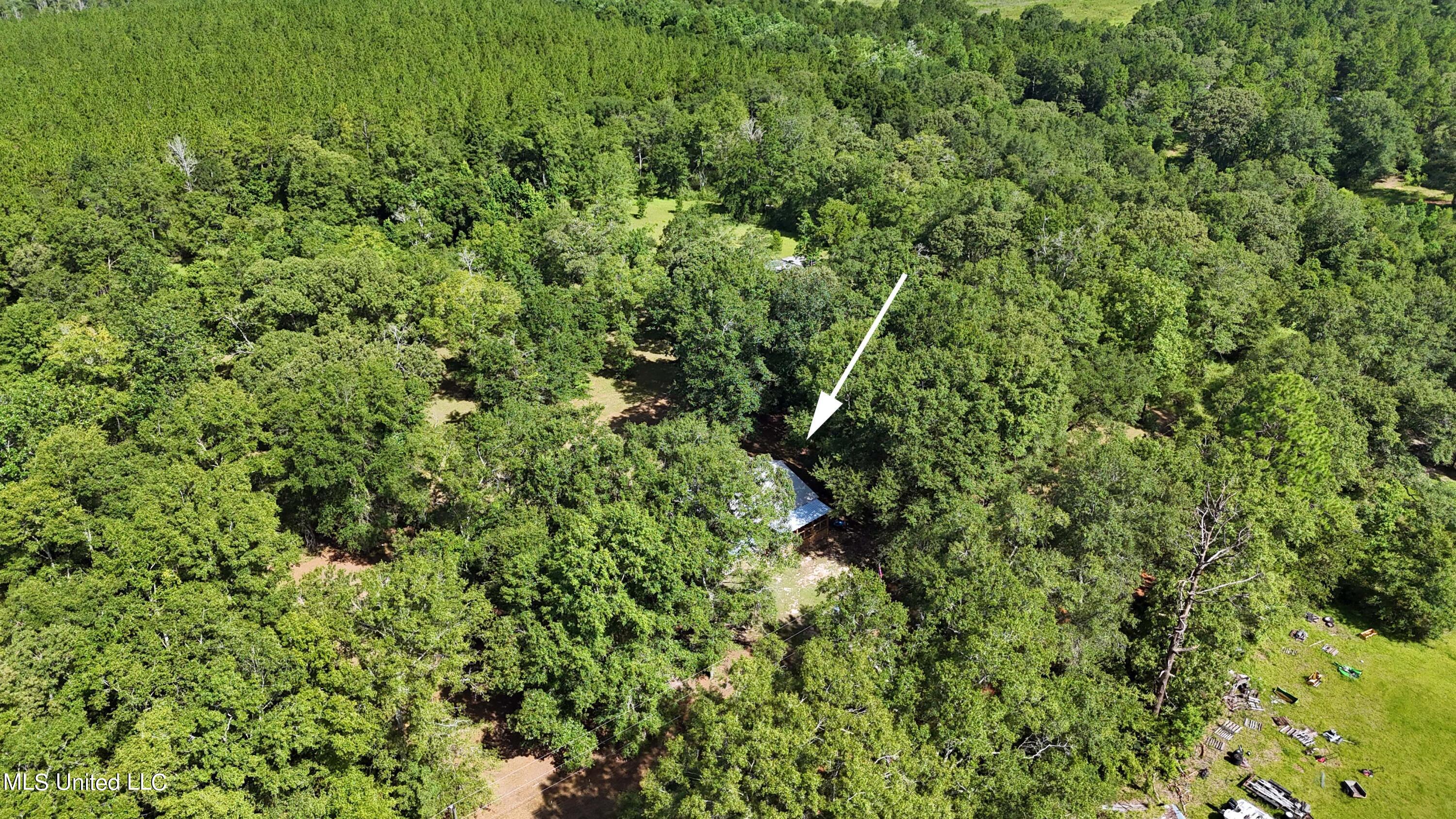 176 Long Leaf Road Lucedale, MS 39452 - Photo 27 of 27 027