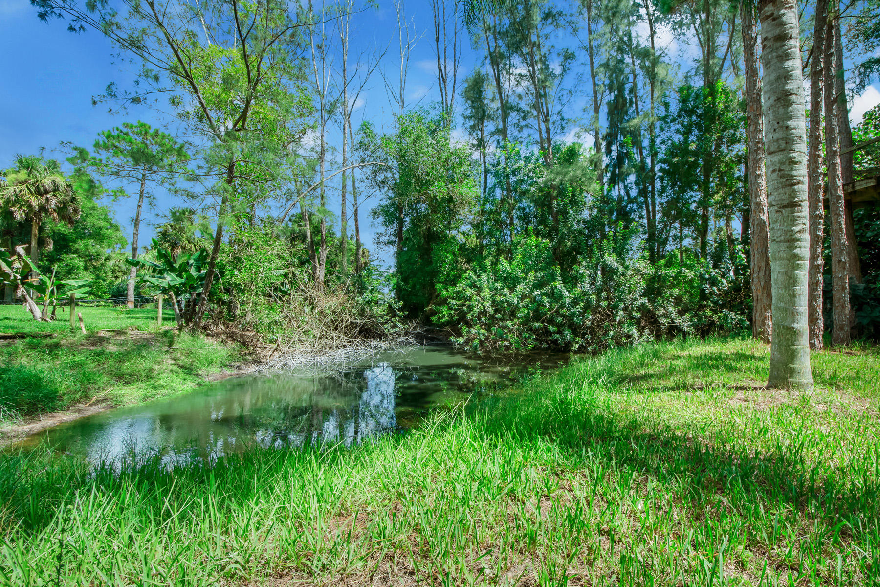 16629 93rd Road North Loxahatchee, FL 33470 - Photo 37 of 38 23 Exterior Rear 4 LR1_5722-Edit