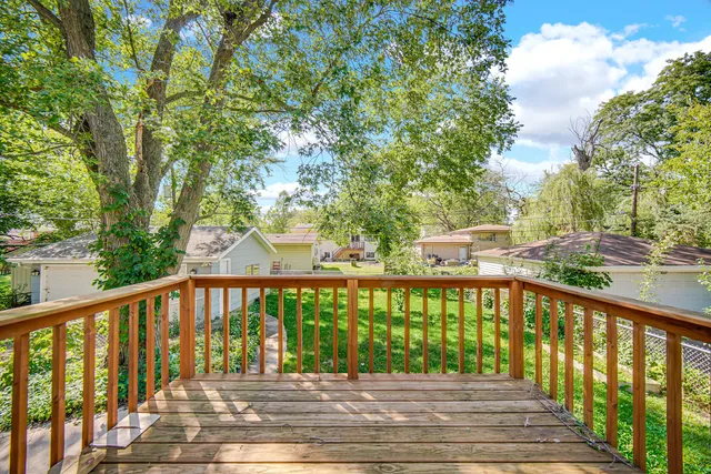 a view of a street with large trees
