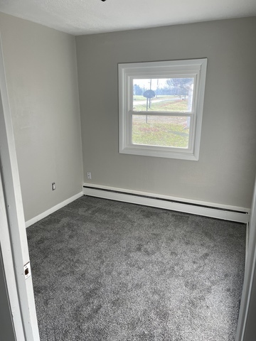 619 South Reed Street Sheffield, IL 61361 - Photo 10 of 17