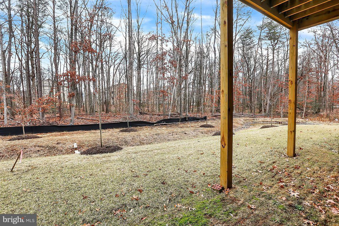 7872 Patterson Way Hanover, MD 21076 - Photo 25 of 26 a view of a backyard of the house