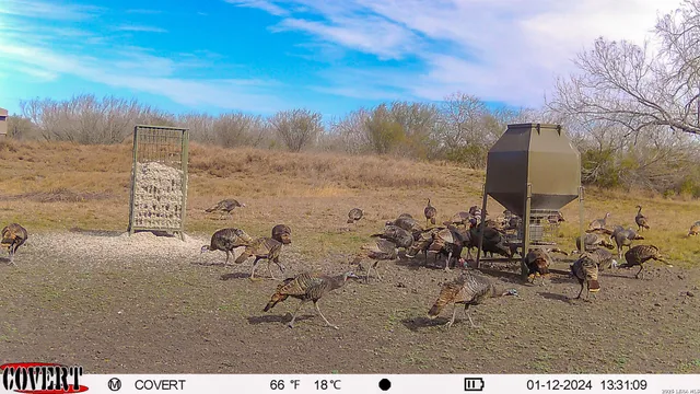 $775,000 | 3888 C R 321, San Diego, TX 78384