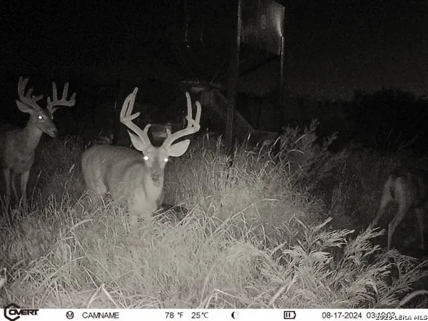 $775,000 | 3888 C R 321, San Diego, TX 78384