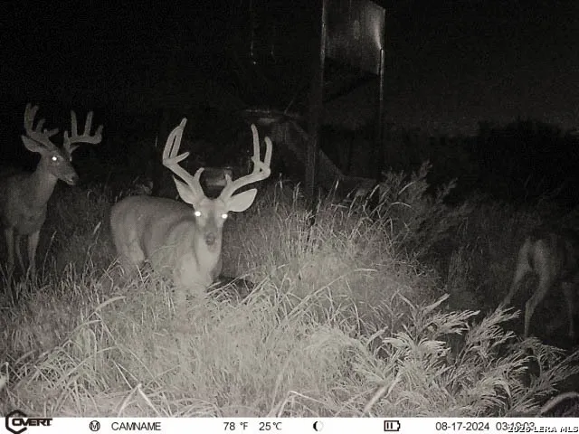 $775,000 | 3888 C R 321, San Diego, TX 78384