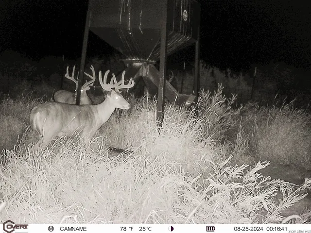 $775,000 | 3888 C R 321, San Diego, TX 78384