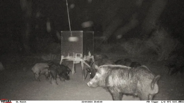 $775,000 | 3888 C R 321, San Diego, TX 78384