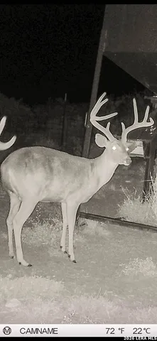 $775,000 | 3888 C R 321, San Diego, TX 78384