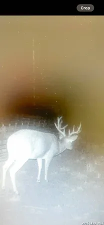 $775,000 | 3888 C R 321, San Diego, TX 78384