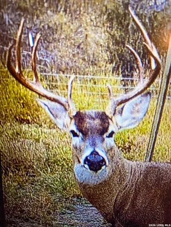 $775,000 | 3888 C R 321, San Diego, TX 78384