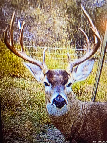 $775,000 | 3888 C R 321, San Diego, TX 78384