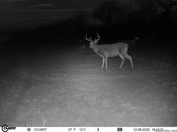 $775,000 | 3888 C R 321, San Diego, TX 78384