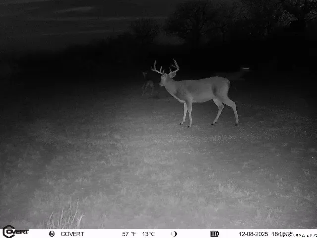 $775,000 | 3888 C R 321, San Diego, TX 78384