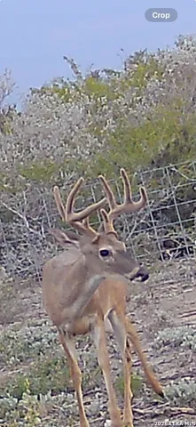 $775,000 | 3888 C R 321, San Diego, TX 78384