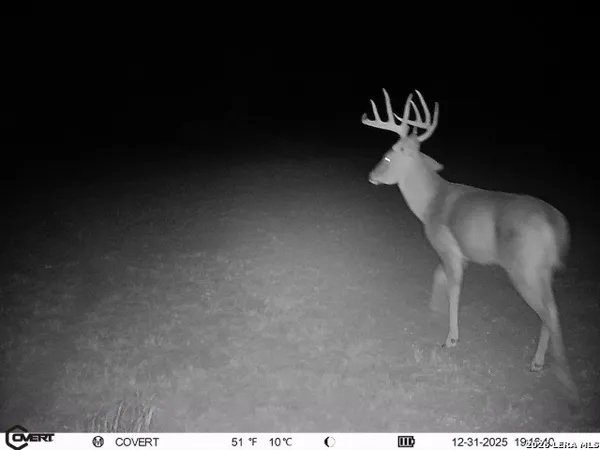 $775,000 | 3888 C R 321, San Diego, TX 78384