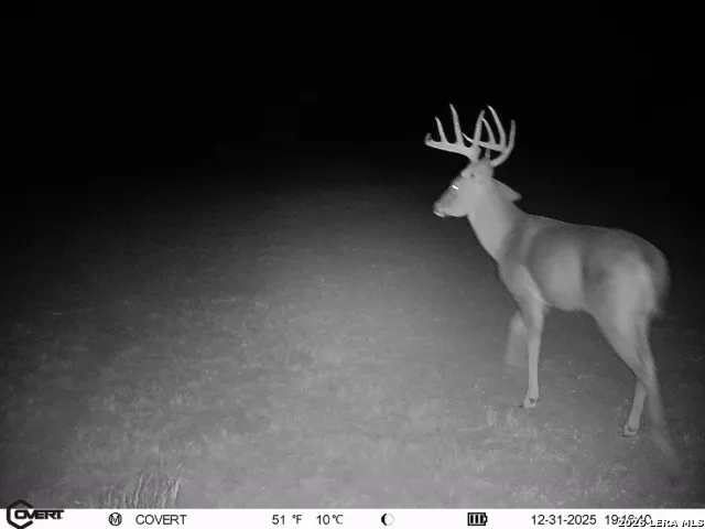 $775,000 | 3888 C R 321, San Diego, TX 78384